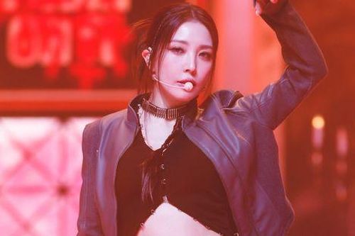 BoA trải lòng sau ồn ào: 'Nếu không có âm nhạc, cuộc sống của tôi sẽ sụp đổ'