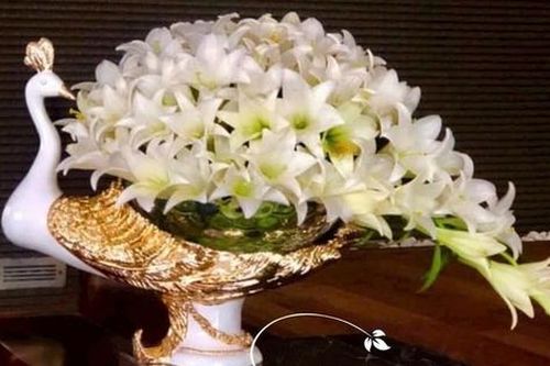 Cách chọn, cắm hoa loa kèn tươi lâu trong nhà