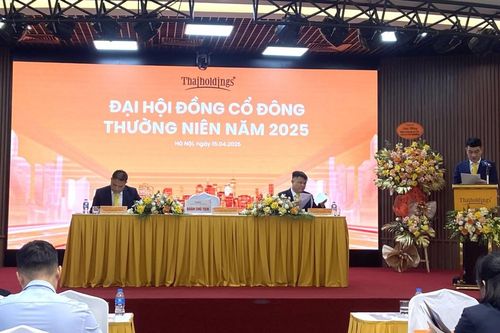 Thaiholdings muốn tăng 16% lợi nhuận, Chủ tịch nói sẽ săn đất sạch đón xu hướng xanh