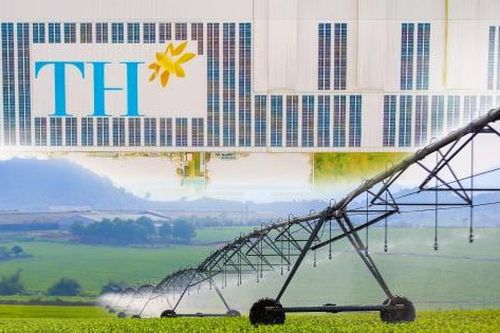 Lời khẳng định XANH của Tập đoàn TH