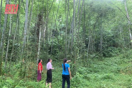 Nâng cao hiệu quả hoạt động tín dụng chính sách tại huyện Quan Sơn