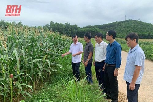 'Đòn bẩy' giúp nông dân phát triển kinh tế