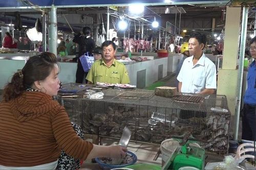 Kiểm tra tình hình mua bán động vật hoang dã tại các chợ