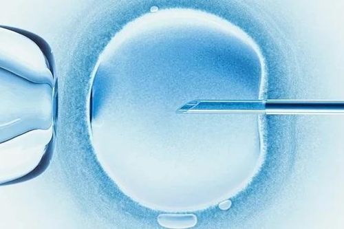 Em bé đầu tiên trên thế giới được thụ thai bằng phương pháp 'IVF tự động' đã chào đời
