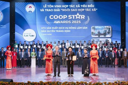Xứng danh 'Ngôi sao hợp tác xã'