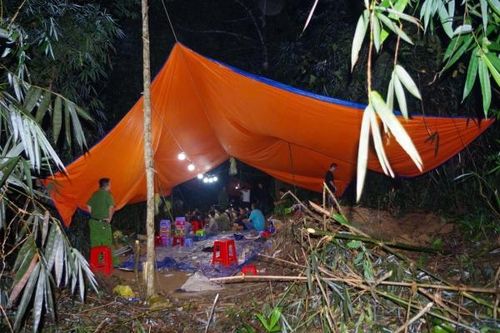 Bắt quả tang 36 đối tượng đánh bạc giữa rừng tre, thu giữ 800 triệu đồng