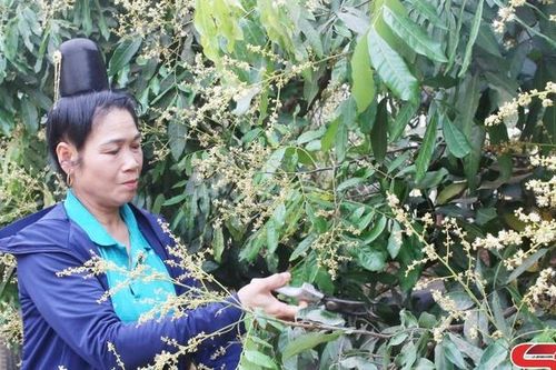 Hội viên phụ nữ tiêu biểu