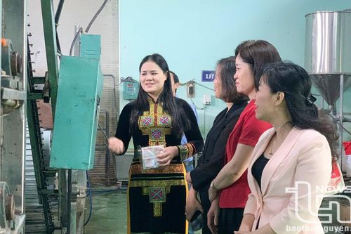 Trên 800 phụ nữ Thái Nguyên được hỗ trợ khởi nghiệp