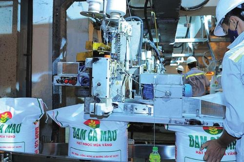 Đạm Cà Mau (DCM): Lãi quý 1 tăng 19%, chuẩn bị sẵn 250.000 tấn sản phẩm cho vụ Hè Thu