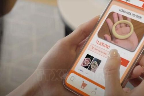 Ra mắt phim 'Vòng ngà tội lỗi' lên án hành vi săn bắn và buôn bán ngà voi