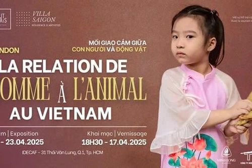 'Mối giao cảm' của Tina Merandon