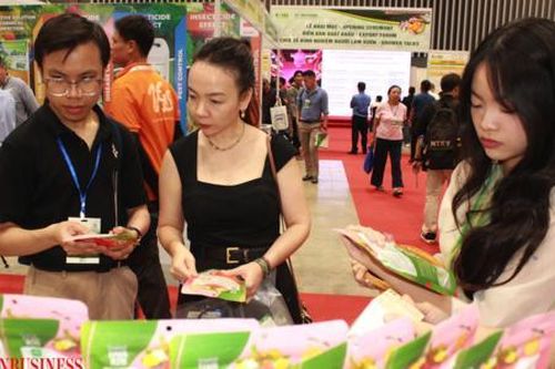 Nâng tầm doanh nghiệp Việt để mở đường thoát giữa rủi ro bên ngoài