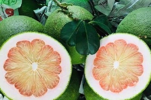 Trái bưởi Việt Nam chính thức được bày bán trên kệ siêu thị Hàn Quốc