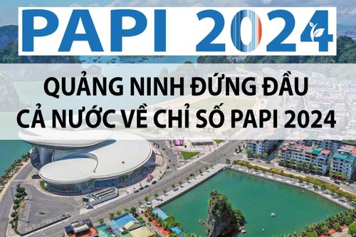 Quảng Ninh đứng đầu cả nước về Chỉ số PAPI 2024