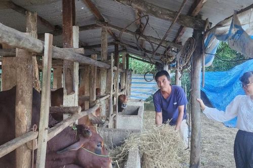Phong trào thi đua - 'đòn bẩy' hoàn thành nhiệm vụ