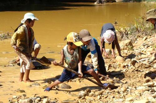 Những điều cần biết về sử dụng lao động trẻ em