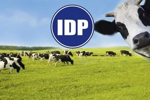 Sữa Quốc tế (IDP): Lãnh đạo bán sạch cổ phiếu ESOP giữa lúc công ty lên kế hoạch mua lại 5% vốn