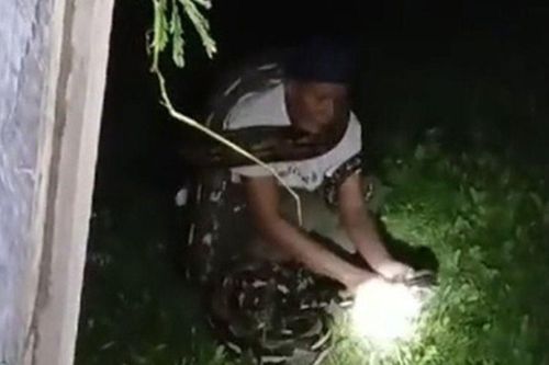 Clip: Kết cục đáng thương cho người đàn ông hung hăng bắt trăn bằng tay không