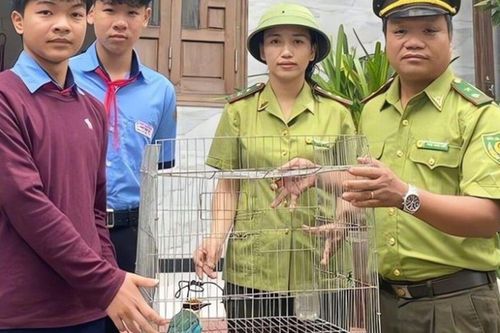 Trên đường đi học, nam sinh lớp 9 phát hiện con vật quý hiếm trong sách Đỏ