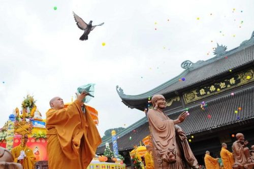 Sắp diễn ra đại lễ Phật đản Vesak 2025 tại TP.HCM