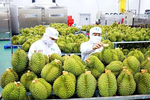 Hợp tác kinh tế, thương mại Việt Nam - Trung Quốc:Không ngừng phát triển mạnh mẽ