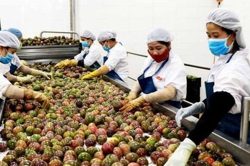 Triển khai gói tín dụng 100.000 tỷ đồng cho nông, lâm, thủy sản