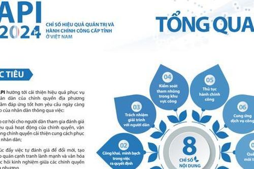Tỉnh Bà Rịa - Vũng Tàu xếp thứ 7 cả nước về chỉ số Hiệu quả quản trị và hành chính công
