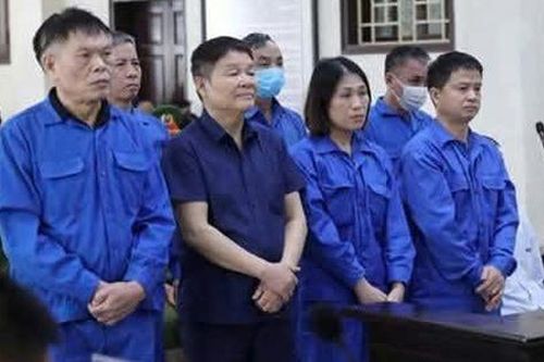 Hàng loạt nguyên cán bộ xã, huyện bị phạt tù khi thực hiện hành vi trái pháp luật về đất đai