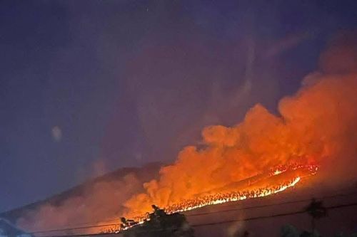 Cháy rừng ở Tam Đảo, hàng trăm người tham gia chữa cháy