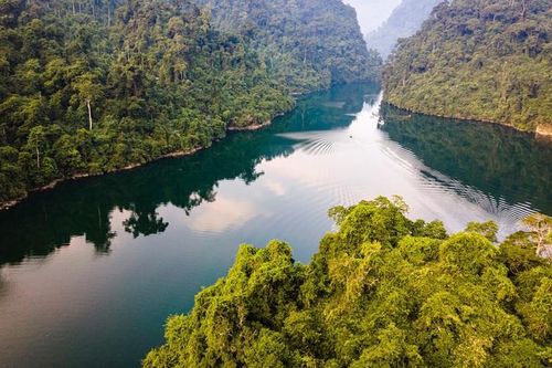 Phê duyệt Nhiệm vụ lập Quy hoạch tu bổ, phục hồi Khu bảo tồn thiên nhiên Na Hang - Lâm Bình