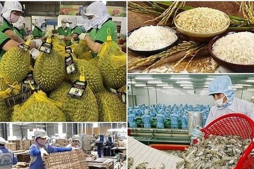 Cần nghiên cứu kỹ thị trường khi xuất khẩu sang EU