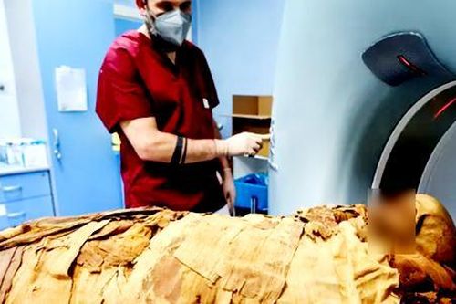 Công bố sự thật chấn động về mùi xác ướp Ai Cập cổ đại