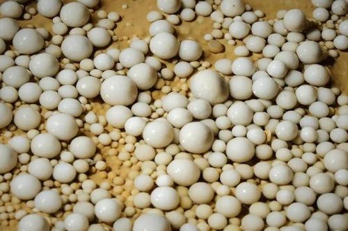Đang đào mương, sướng run người đụng trúng 'kho báu' 480 triệu tuổi