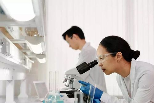 Nhật Bản khuyến khích phụ nữ tham gia vào STEM
