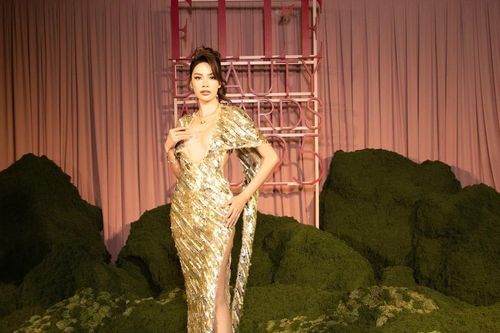 Hoa hậu Lê Hoàng Phương khoe thần thái đỉnh cao, hút mọi ánh nhìn trên thảm đỏ
