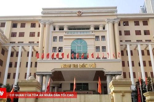 Kết thúc hoạt động 12 thanh tra bộ, cấp huyện và nhiều đơn vị trực thuộc