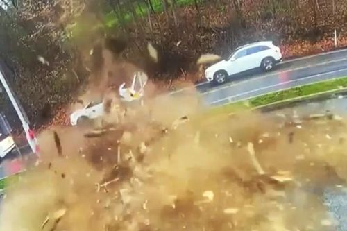 Cây khổng lồ đổ đè bẹp ô tô, nữ tài xế may mắn thoát chết trong gang tấc