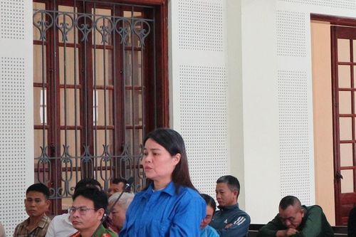 Nữ luật sư rởm lừa 'chạy án' chiếm đoạt tiền tỷ