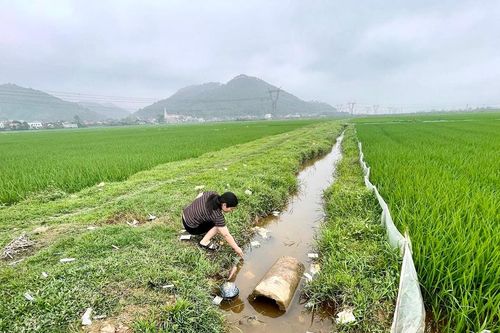 'Rác độc' bị vứt bừa bãi trên nhiều cánh đồng ở Nghệ An