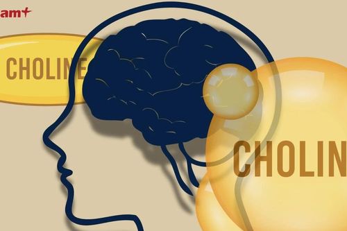 Tìm hiểu về choline - dưỡng chất quan trọng cho não bộ nhưng ít được biết đến