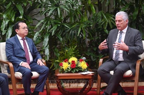 Việt Nam hết sức coi trọng mối quan hệ đặc biệt với Cuba