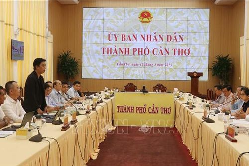 Đoàn doanh nghiệp Singapore và Indonesia tìm hiểu cơ hội hợp tác đầu tư tại Cần Thơ