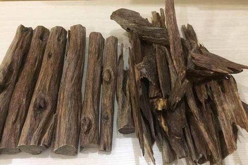 Đây là loại gỗ giá 2,3 tỷ đồng/kg, Việt Nam cũng có, được mệnh danh là 'gỗ của các vị thần'