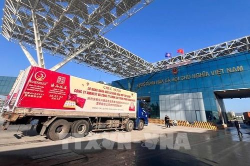 Quy định xuất khẩu tổ yến thô và tổ yến sạch sang Trung Quốc