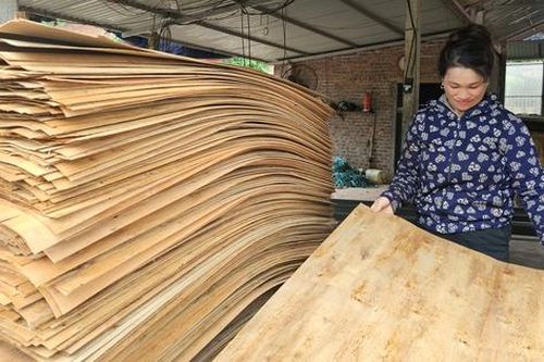 Thúc đẩy tư duy thị trường tốt cho phụ nữ nông thôn làm kinh tế