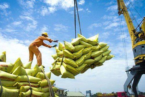 Xuất khẩu gạo sang Philippines dự báo đạt trên 4,3 triệu tấn