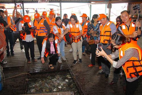 Hướng đến tăng trưởng lĩnh vực dịch vụ, du lịch