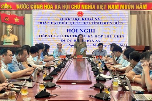 Đại biểu Quốc hội tỉnh tiếp xúc cử tri huyện Nậm Pồ