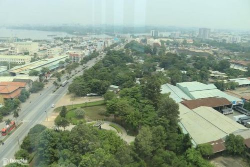 Phạt 780 triệu đồng và buộc di dời nhà máy đối với Công ty CP Việt - Pháp sản xuất thức ăn gia súc