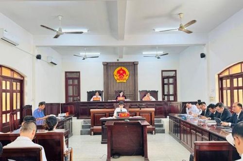 Vụ xây dựng 680 căn nhà trái phép tại huyện Trảng Bom: Nguyên lãnh đạo Công ty CP Đầu tư LDG thừa nhận phạm tội lừa dối khách hàng